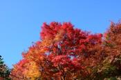DSC_4308-20161112-512