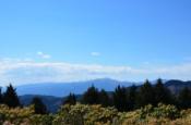 DSC_1171-20110326-512