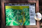 DSC_1199-20110326-512