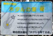 DSC_1205-20110326-512