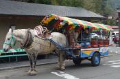 DSC_2637-20111030-512