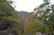 DSC_2643-20111030-512