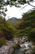 DSC_2650-20111030-512