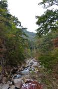 DSC_2655-20111030-512