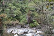 DSC_2675-20111030-512