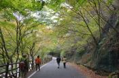 DSC_2680-20111030-512