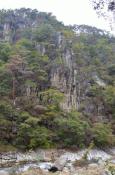 DSC_2698-20111030-512