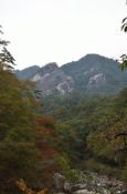 DSC_2705-20111030-512