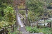 DSC_2719-20111030-512