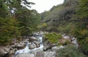 DSC_2732-20111030-512