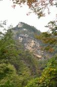 DSC_2739-20111030-512