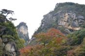 DSC_2748-20111030-512