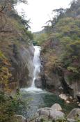 DSC_2785-20111030-512