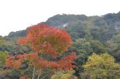 DSC_2797-20111030-512