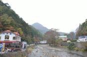 DSC_2806-20111030-512