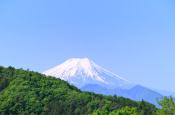 DSC_1960-20110515-512