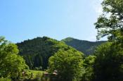 DSC_1964-20110515-512