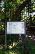 DSC_1970-20110515-512