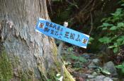 DSC_1996-20110515-512