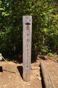 DSC_2028-20110515-512