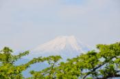 DSC_2053-20110515-512