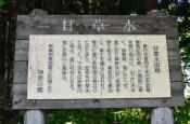DSC_2054-20110515-512