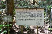DSC_2060-20110515-512