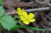 DSC_2066-20110515-512