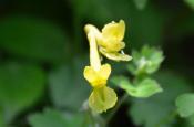 DSC_2069-20110515-512