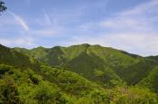 DSC_2077-20110515-512