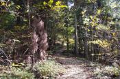 PB070768-20151107-512