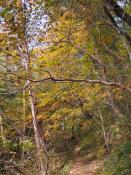 PB070781-20151107-512