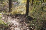 PB070783-20151107-512