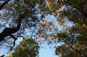 PB070788-20151107-512