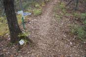 PB070829-20151107-512