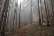 DSC_0293-100328-512