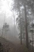 DSC_0298-100328-512