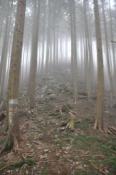 DSC_0314-100328-512
