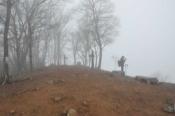 DSC_0319-100328-512