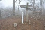 DSC_0323-100328-512