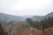 DSC_0329-100328-512