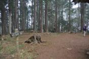 DSC_0338-100328-512