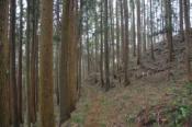 DSC_0348-100328-512