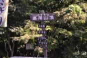 DSC_1212-20101003-512