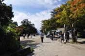 DSC_1213-20101003-512