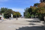 DSC_1219-20101003-512