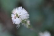 DSC_1225-20101003-512