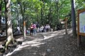 DSC_1227-20101003-512