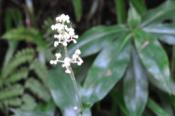 DSC_1261-20101003-512