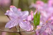 DSC_0160-20130413-512